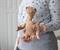 E.T. The Extra-Terrestrial Stuffed Character Plush Toy | 8 Inches Tall