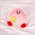 Kirby Champion 11 Inch Collector Plush