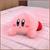Kirby Sleep Together 15 Inch Collector Plush