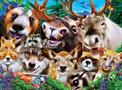 Selfies Woodland Wackiness 200 Piece Jigsaw Puzzle