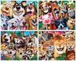 Selfies 4-Pack 100 Piece Jigsaw Puzzles