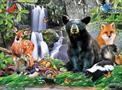 Wildlife of Shenandoah National Park 100 Piece Jigsaw Puzzle