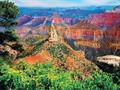 Grand Canyon North Rim 550 Piece Jigsaw Puzzle