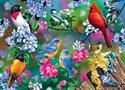 Songbird Collage 1000 Piece Jigsaw Puzzle