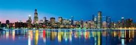 Downtown Chicago Illinois 1000 Piece Panoramic Jigsaw Puzzle