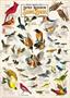 Audubon Songbird 1000 Piece Jigsaw Puzzle