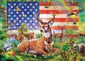 Radiant Country 1000 Piece Jigsaw Puzzle