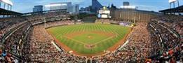 Baltimore Orioles Stadium MLB 1000 Piece Panoramic Jigsaw Puzzle