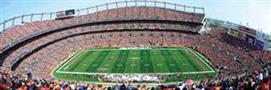 Denver Broncos Stadium NFL 1000 Piece Panoramic Jigsaw Puzzle