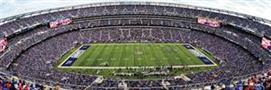New York Giants Stadium NFL 1000 Piece Panoramic Jigsaw Puzzle