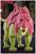Masters of the Universe Revelation Power Attack Battle Cat Action Figure