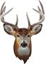 I AM Buck 550 Piece Animal Head-Shaped Jigsaw Puzzle