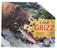 I AM Grizz 1000 Piece Animal-Shaped Jigsaw Puzzle