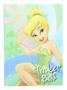 Disney Tinker Bell 5x7 Inch Hardcover Journal