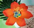 Disney Lilo & Stitch 20th Anniversary Enamel Pin | SDCC 2022 Exclusive