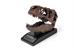 The Nation's T-Rex Skull Statue | 6-Inch Smithsonian Fossil Replica| 1:10 Scale