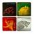 Game of Thrones Drink Coasters, Set of 4