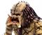 The Predator Unarmored Assassin Predator Deluxe Ultimate 7 Inch Action Figure