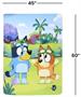 Bluey and Bingo 46 x 60 Inch Silk Touch Throw Blanket