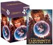 Labyrinth One Sheet 500 Piece Jigsaw Puzzle (Vertical Box)