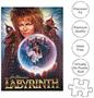 Labyrinth One Sheet 500 Piece Jigsaw Puzzle (Vertical Box)