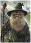 Lord of the Cats Catdalf 1000 Piece Jigsaw Puzzle