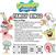SpongeBob SquarePants Family Bingo | 2-18 Players