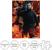 Halloween II Coffin Box 500 Piece Jigsaw Puzzle