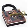 Einsteins Lock 3D Brain Teaser Puzzle