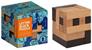 Albert Einstein's Letter Block Puzzle