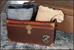 Harry Potter Hogwarts Foldable Storage Chest Organizer | 24 Inches