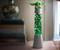 Star Wars: The Mandalorian, The Child 14-Inch 3D Top Glitter Motion Lamp Light