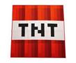 Minecraft Red TNT Block Square Area Rug | 52 Inches