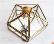 Harry Potter Gold Chocolate Frog Jewelry Box Storage Case Organizer