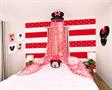 Disney Minnie Mouse Ceiling Bed Canopy | Hanging Curtain Netting