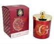 Harry Potter House Gryffindor Premium Scented Soy Wax Candle