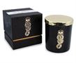 Harry Potter Dark Arts Premium Scented Soy Wax Candle