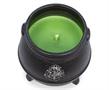 Harry Potter Hogwarts Cauldron Premium Scented Soy Wax Candle