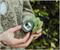 Halo Master Chief Helmet Bottle Opener