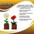 Minecraft Daisy and Poppy Flower Pot Mood Lights | Set of 2