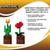 Minecraft Orange Tulip and Poppy Flower Pot Mood Lights | Set of 2