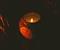 Disney The Nightmare Before Christmas Sally's Jar Candle | Deadly Night Shade