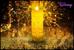 Disney Encanto Alma's Miracle LED Flameless Candle Replica | 8 Inches Tall