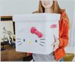 Sanrio Hello Kitty 13 x 13 Inch Plush Storage Cube