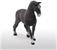 Schleich Hanovarian Mare Figure | 5.4 x 1.3 x 4.2 Inches