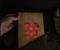 Harry Potter House Gryffindor Light-Up Hardcover Notebook