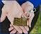 Beetlejuice Handbook For The Recently Deceased Metal Locket Keychain