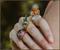 Dungeons & Dragons: Honor Among Thieves 12-Piece Brass Ring Set Replica