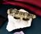 Marvel Avengers: Endgame Doctor Strange Sling Ring Official Collectible Replica