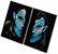 Avatar 2: The Way of Water Neytiri & Jake Enamel Pin Set